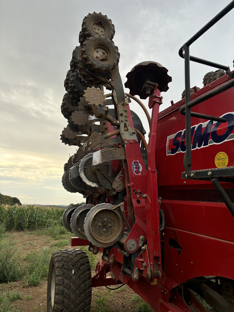 Will Kealey tweet media