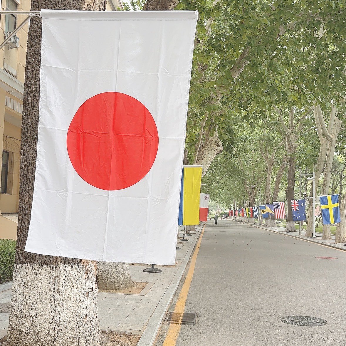 .

履修登録終わりました 𓂃🫧

疲れたけど久しぶりにクラスメイトと

会ってお話したりしていよいよ

新学期始まるんだなって実感

しました( *´꒫`)

今学期ものんびりと自分のペースで

がんばりましょι(｀･-･´)/

.