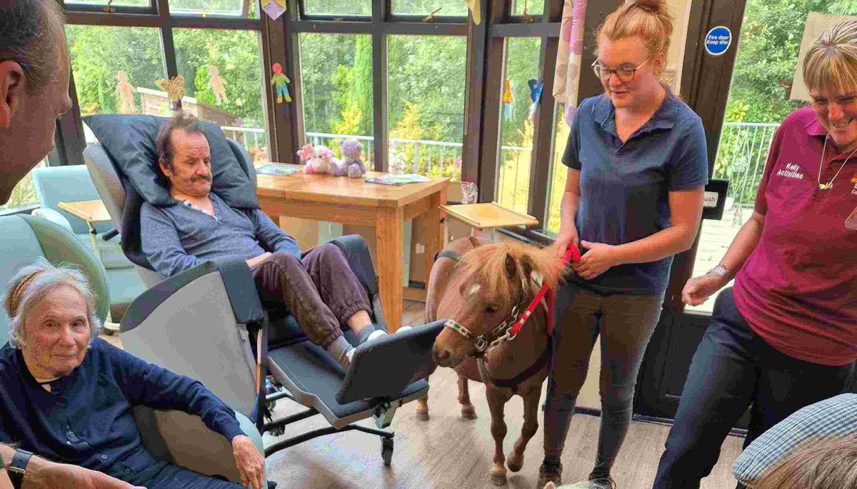 How lovely to have #ShetlandPonies visit Butterfly Lodge! We loved Peanut &amp; Wizzle - they're so gentle and patient.
Animal visits bring up all kinds of wonderful memories and create moments of pure happiness❤️

Many thanks to #DartmoorCarriages 🙏

#DementiaCare #Plymouth #Devon