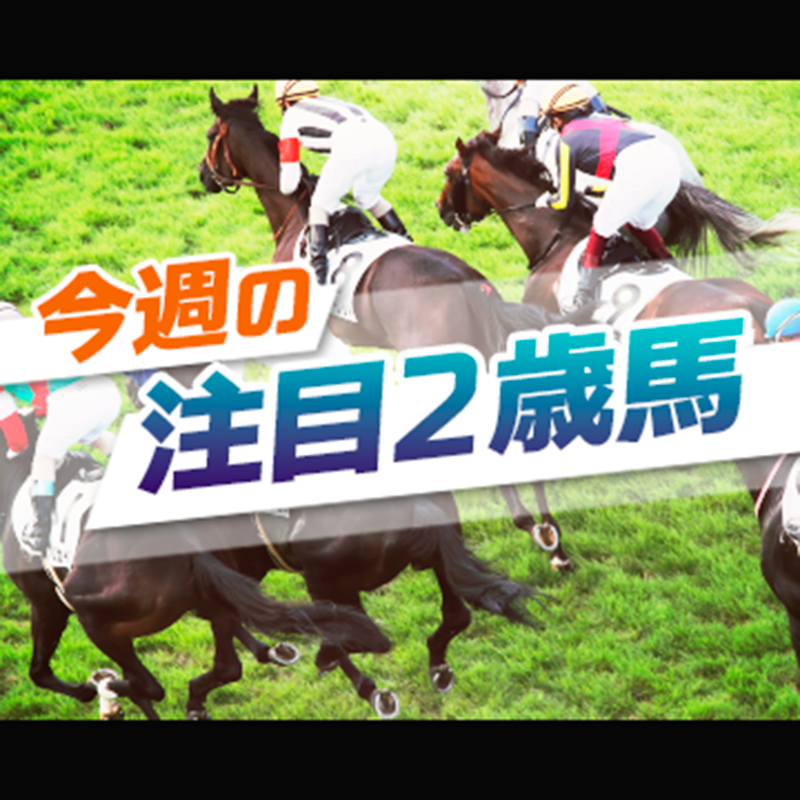 JRA公式 (@JRA_Special) / X