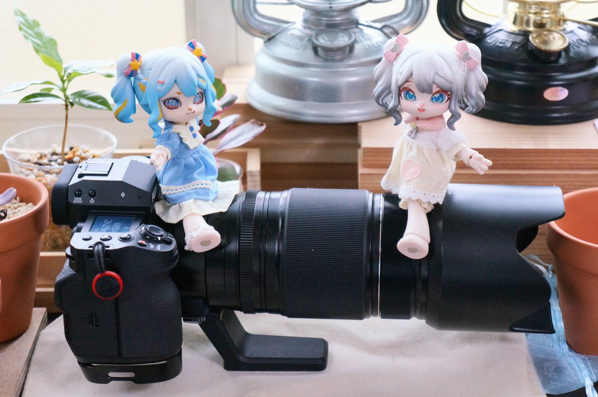 🐰「でっかい」
🐰「おっきいね〜！」
選ばれたのは50-140でした
ヽ(*'ω')ﾉｲｪｱ！

候補の中で一番運動会に不向きなレンズだけど日常で140mm以上使わないし焦点距離欲しい時だけテレコンレンタルするのもありかと思ってｺﾞﾆｮｺﾞﾆｮ……
体育館とか暗い場所でも活躍できるしね！
うんうん！🥰