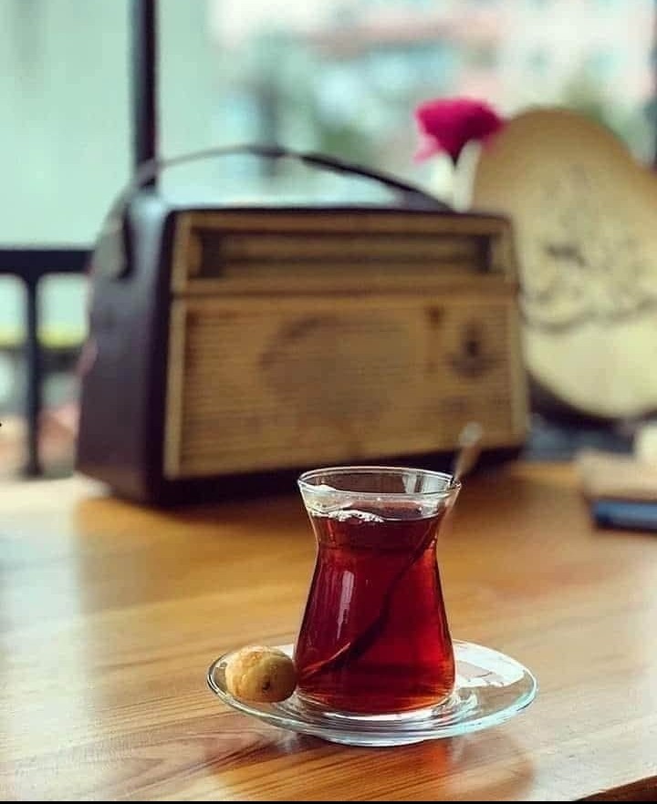 Keyfime pek düşkünüm de,
Kahya tutacak kadar zengin değilim.
Açarım penceremi yaparım çayımı.
Karşıda dağlar, cebimde anılar.
Bedava rüzgar, bembeyaz bulutlar.
Hey kumrular!
Repertuarınızda var mı güzel şarkılar...