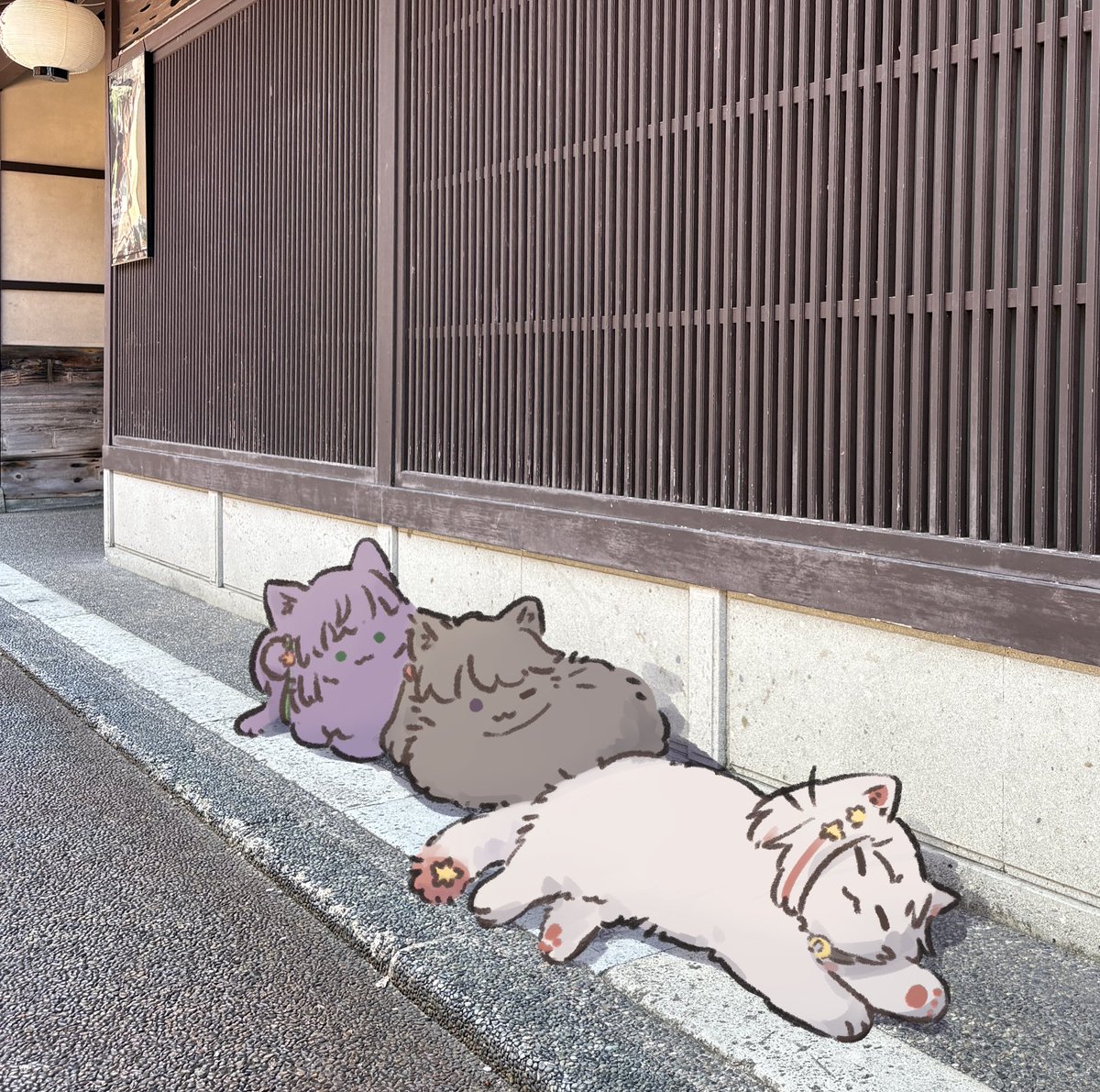 あおかえる🍖🐕僕ラブ45蓮59 (@mr_frog716) on Twitter photo 