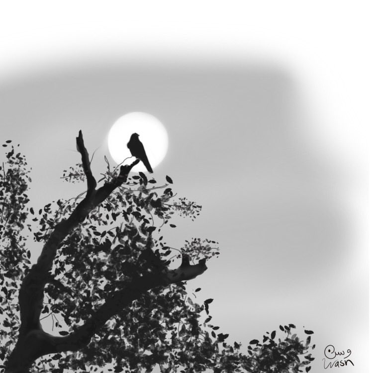 tanmee163's tweet photo. #رسم #بروكريت #رسمتي #تحدي #ارسم #اكسبلور #تحدي_الصيف #صيف 
#procreate #theme #دعم_رسامين1 #دعم_الرسامين_العرب 

#art #procrate #بروكريت  #رمزيه #انستقرام #رسم_رقمي_digital_drawing #رسم_خيالي https://t.co/ooK1zq4Tv0