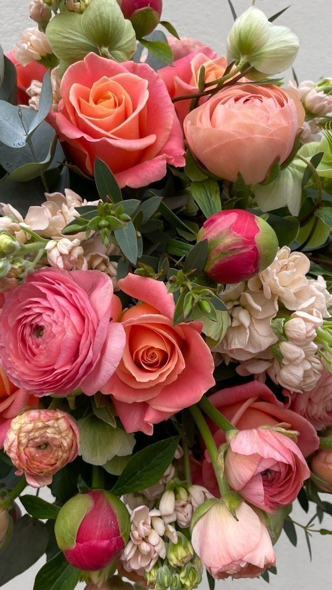 hellen sb🌹 (@hellensb1) on Twitter photo 