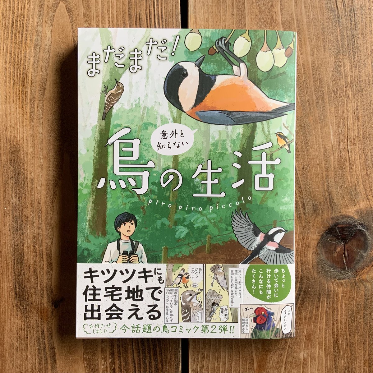 『まだまだ！意外と知らない鳥の生活』本日発売です🥳🥳🥳
SNSに載せていない漫画やコラムなど、描き下ろしもいっぱい描かせていただきました！
amazon.co.jp/dp/4046847948