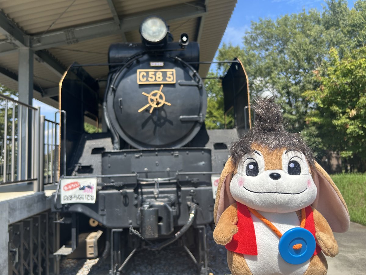 とちぎわんぱく公園 on X: 
