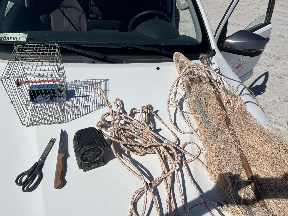 Cihanbeyli Şefligimiz personelleri tarafından 20.08.2025 tarihinde yapılan koruma kontrol çalışmalarında Sarayönü İlçesinde tuzak olarak kullanılan 6 adet Saka Kuşu, ses cihazı ve avlanmada kullanılan ekipmanla yakalanan şahıs için toplamda 83,689 TL cezai yaptırım uygulanmıştır.