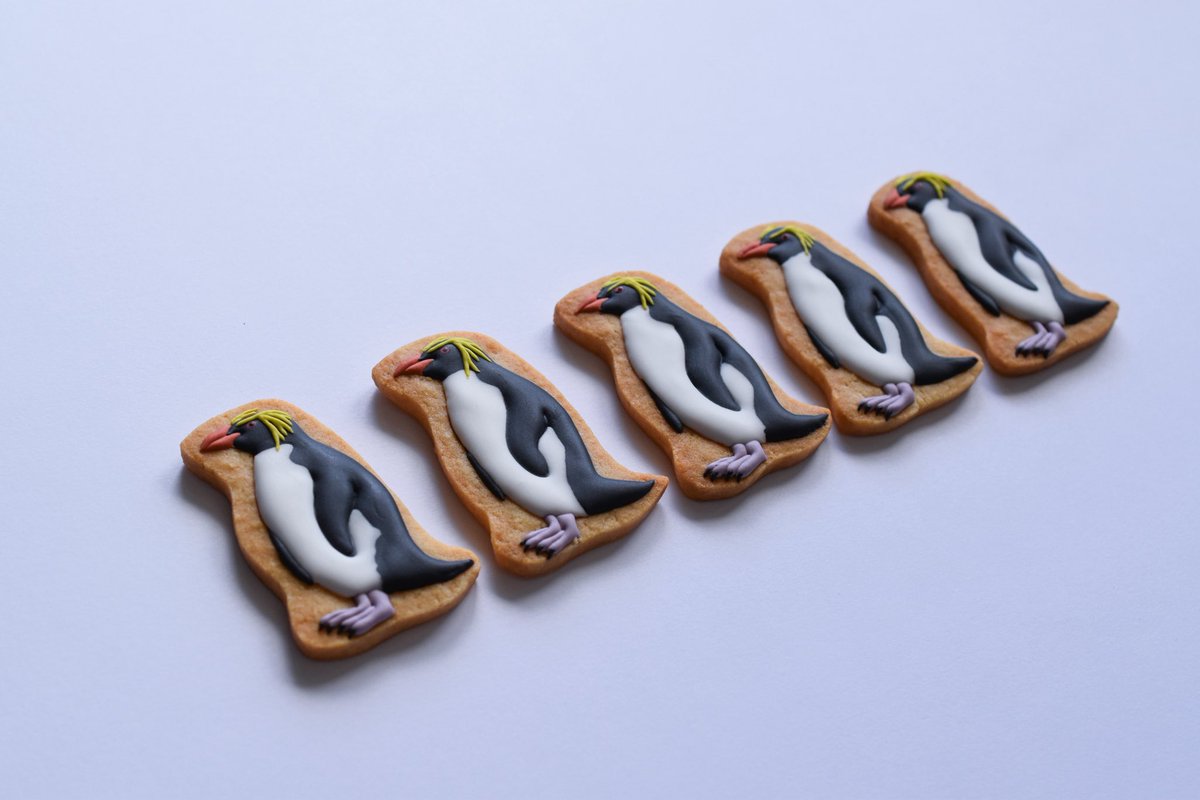 #９月になったのでフォロワーさんに自己紹介しようぜ

鳥のリアルなアイシングクッキーを制作しています。
今年の秋冬は、初のオンラインクッキー販売が始まりますので、ぜひフォローして情報をお待ちいただけたら嬉しいです！