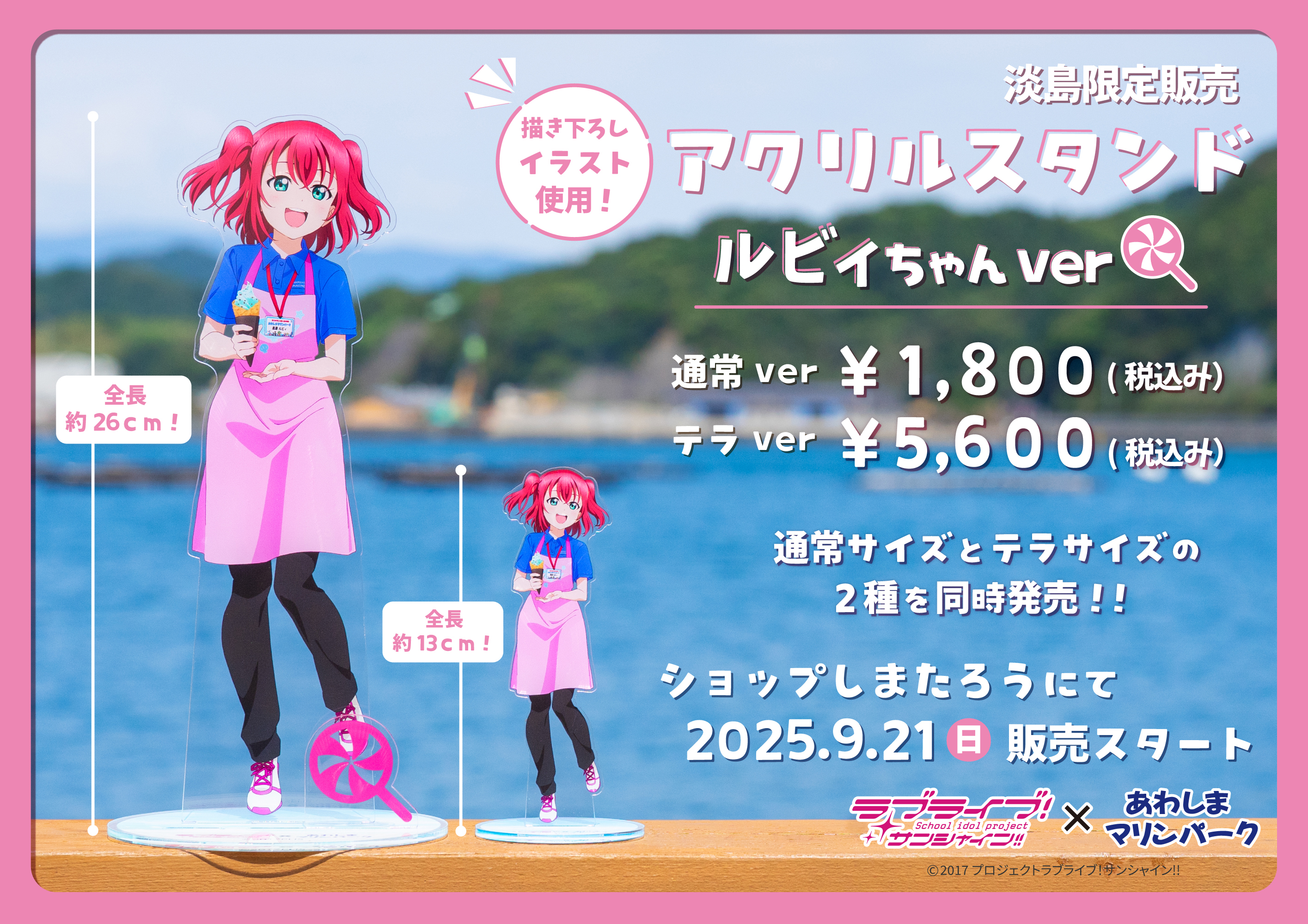 あわしまマリンパーク　ラブライブ　アクリルスタンド　6種 しまたろう【あわしまマリンパーク公式】 on X: 