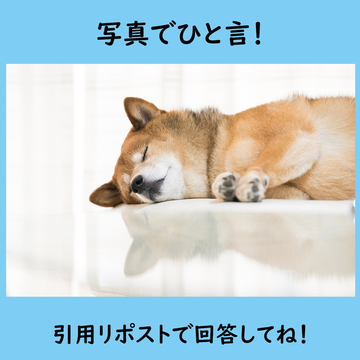 公式】わんにゃんWalker on X: 