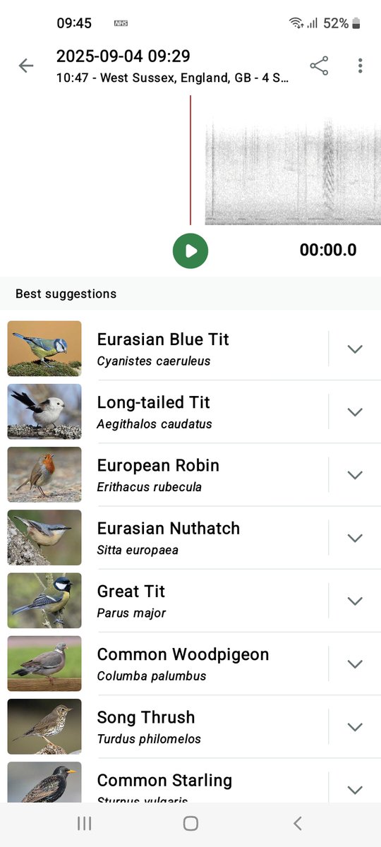 A surprisingly good turn-out of birds in St Margaret's Loop (Wood) this morning. So far today Merlin has detected 21 species, many of which started singing when the sun came out after the heavy downpour earlier. The wind is lighter today too, so that helps with detection. 🎶🐦‍⬛