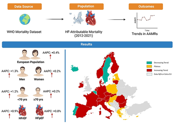 💔 Heart failure–related deaths in Europe rose from 2012 to 2021. Significant disparities remain across regions and countries. #HeartFailure #EuropeanUnion #EJHF  ow.ly/7HaS50WNmWx

<a href="/EJHFEiC/">EJHF Editor-in-Chief</a> <a href="/AmrAbdin10/">Amr Abdin</a> <a href="/GiuseppeGalati_/">Giuseppe Galati</a> <a href="/HanCardiomd/">Henry Han</a>