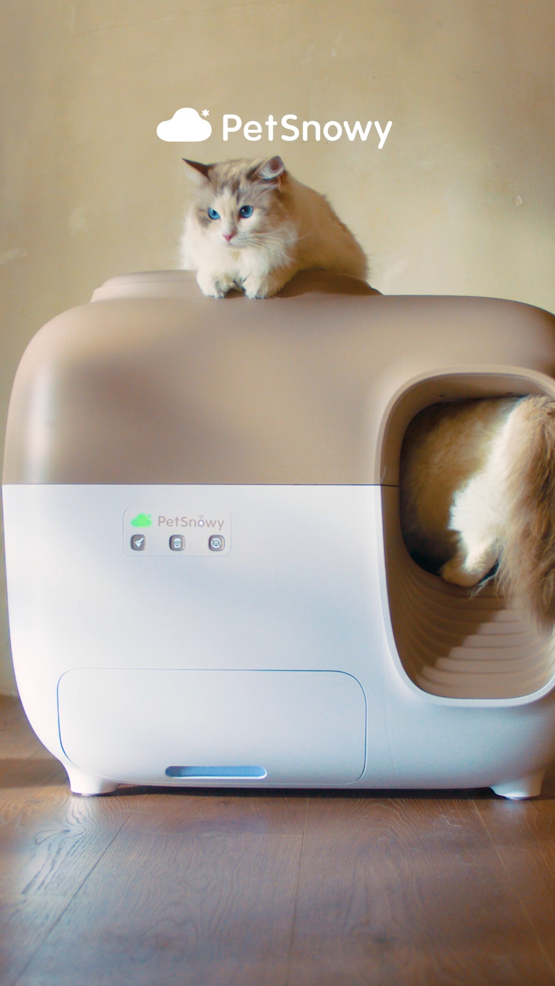 PetSnowy | ペット用品😺🐶 on X: 