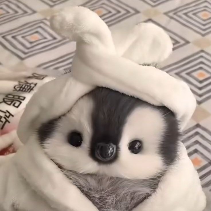 #NewProfilePic