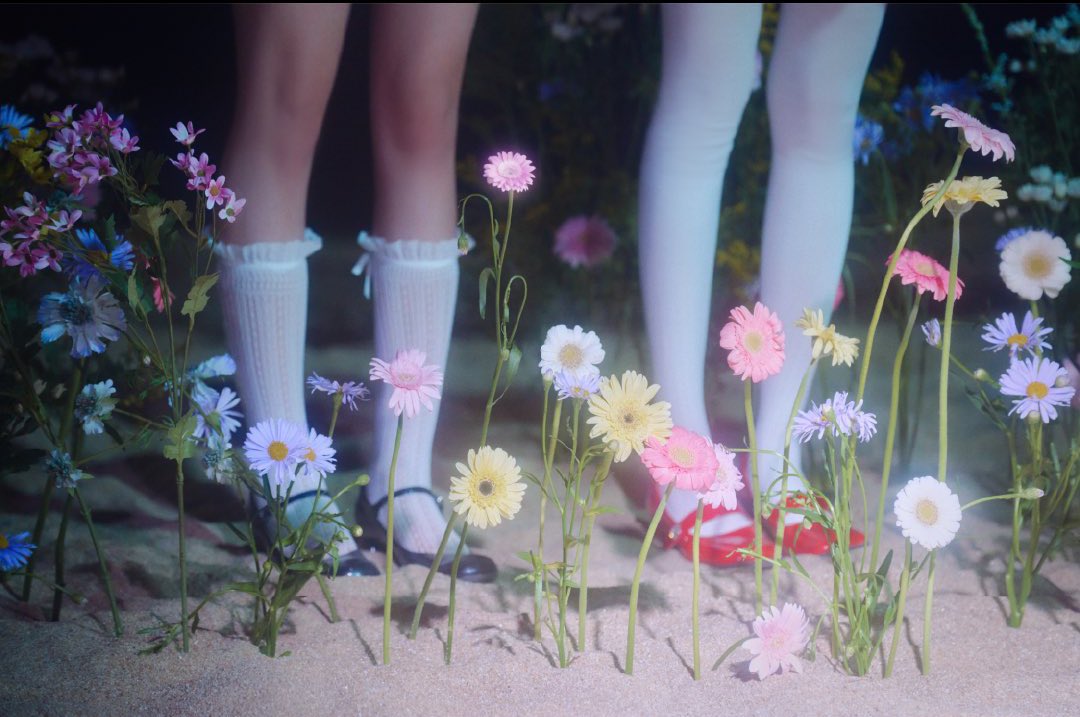 NPOMV | Zine tweet media