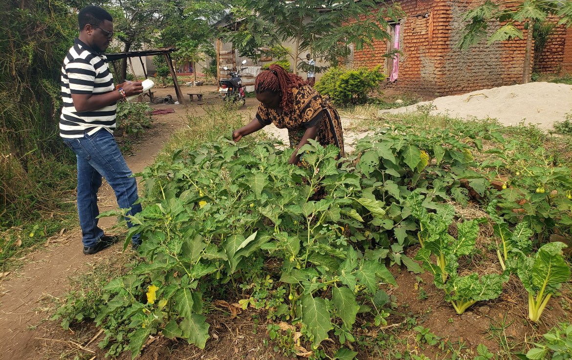 YAGANET1's tweet photo. In disaster-prone #Kasese, We are nurturing hope by strengthening food systems, empowering livelihoods &amp; building climate resilience. Together, we’re turning challenges of climate change into opportunities for a sustainable future. #ClimateAction #FoodSystems #FCDE @RamsarConv https://t.co/0heNui3VHT