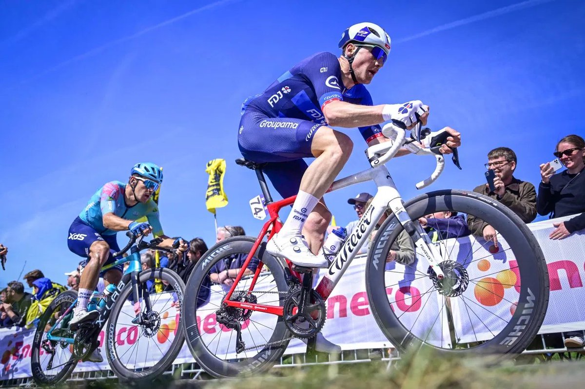 Domestique tweet media