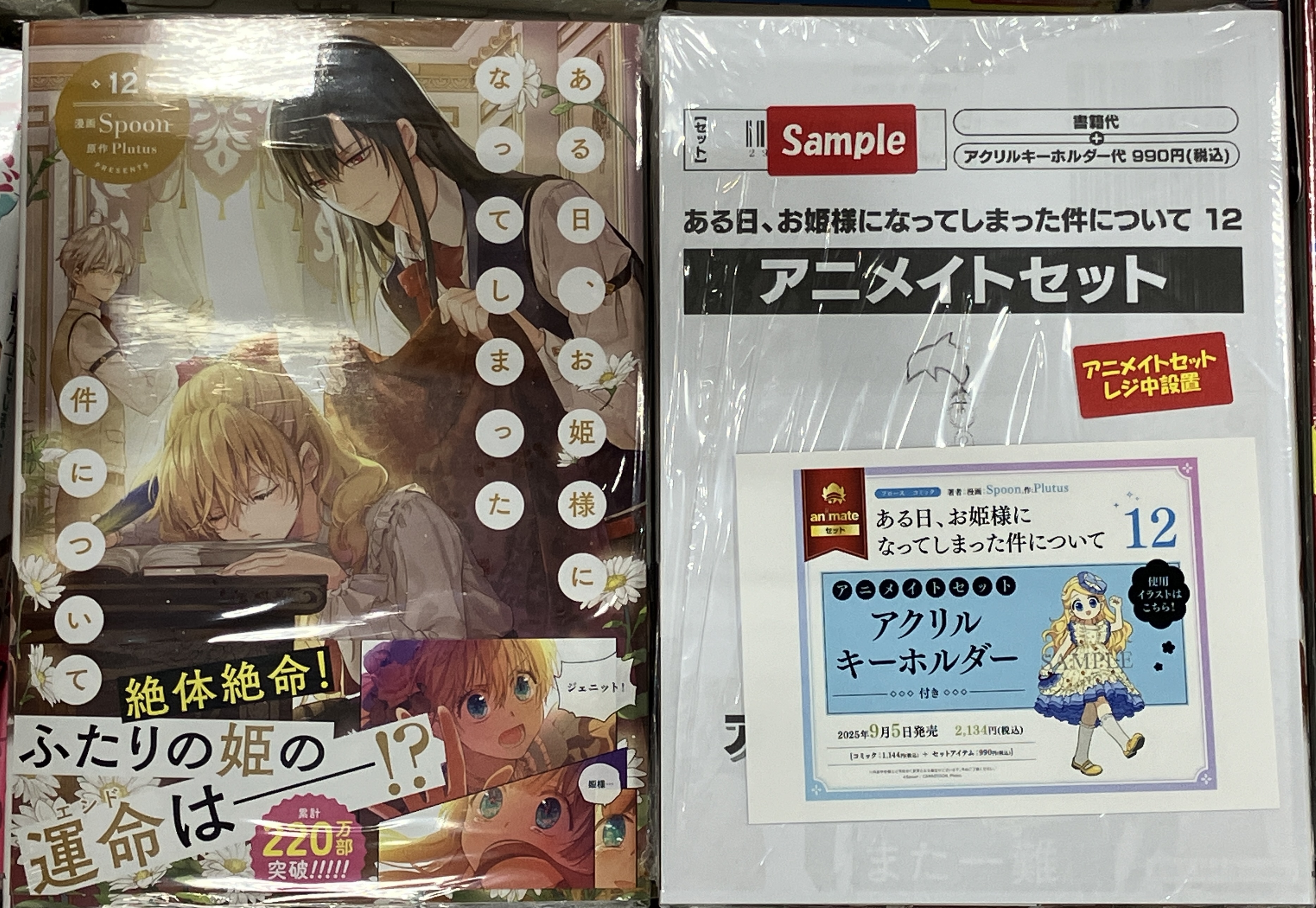 ある日、お姫様になってしまった件について　スノードームアクキーセット ある日、お姫様になってしまった件について スノードームアク