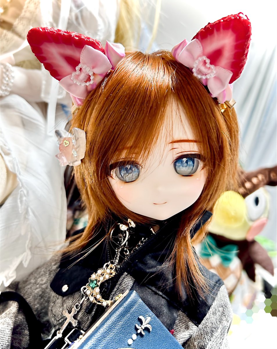 【🍓🐱辰くんでお茶を濁す。】

なんか久しぶりに
「１回も起きないで7時間寝ただと…！」
からの
「メンタルなんかふわふわする…( ߹꒳​߹ )」
で、ちょっと大人しくしてます…‼️

(アホ発言せんように(ó﹏ò｡)💦💦）

#辰くん 
#みるき〜娘 
#MDDはいいぞ 
#ドールオーナーさんと繋がりたい