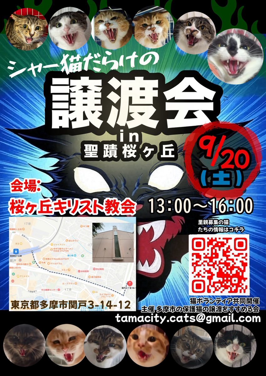 久しぶりに開催するよ!
最恐猫が勢揃い😆

猛猫遣いを求むฅ(ↀㅅↀˆ)
我が家からは
モランボン太🍎
モランボン子🍎
ゆめちゃんが参加予定です。