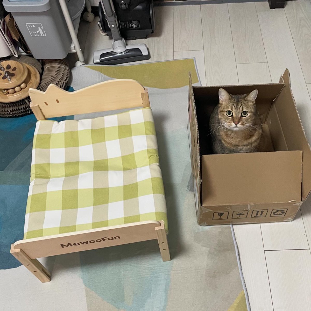 猫あるある