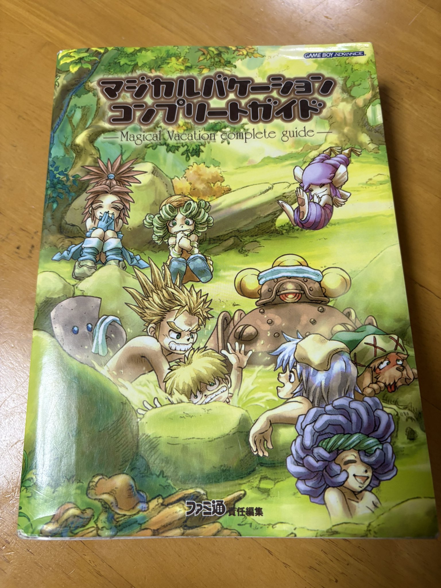 【初版】マジカルバケーションコンプリートガイド 攻略本　レア マジカルバケーションコンプリートガイド : ファミ通書籍編集部 工場
