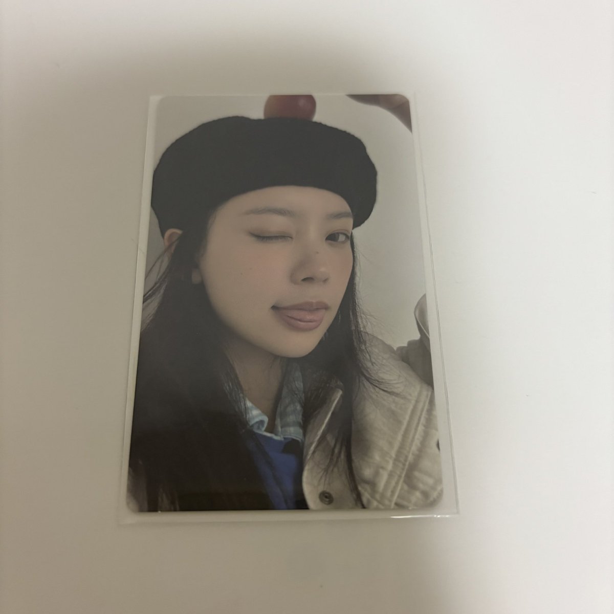 🐾⭐︎ tweet media