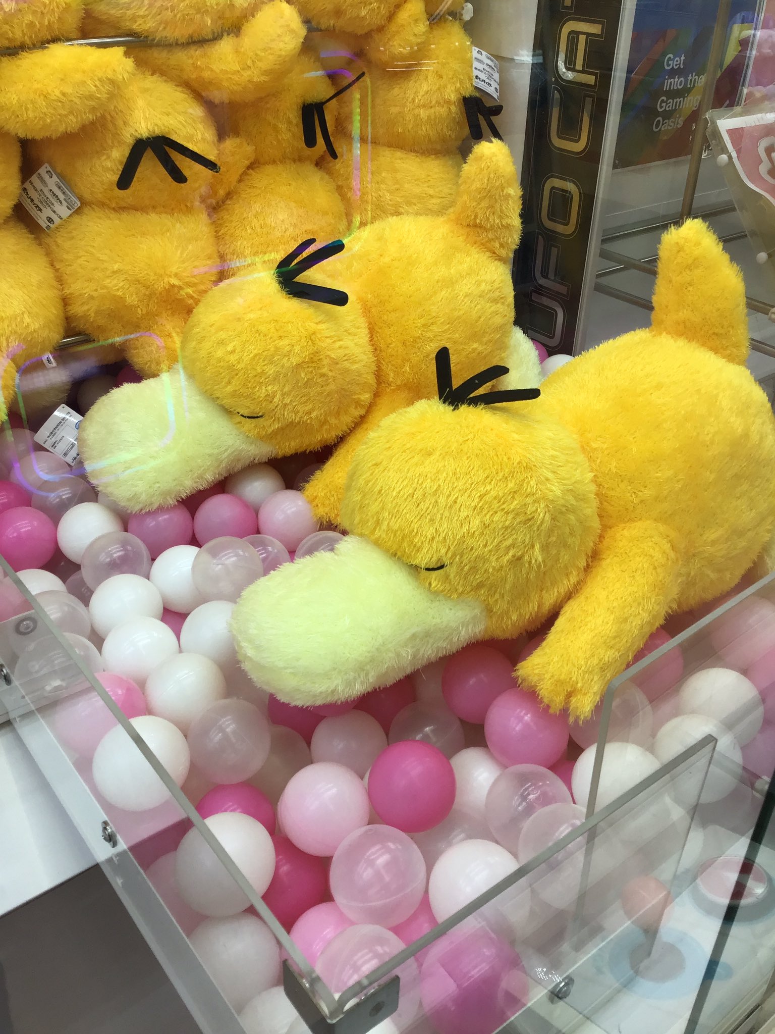GIGOドン・キホーテ 店舗詳細｜GENDAGiGO
