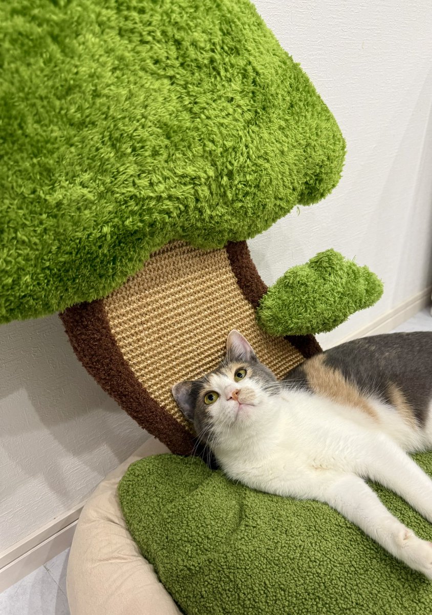 シーグラスアート『 大空へ•*¨*•.¸♬︎』 シーグラス (@11sea_glass02) / X