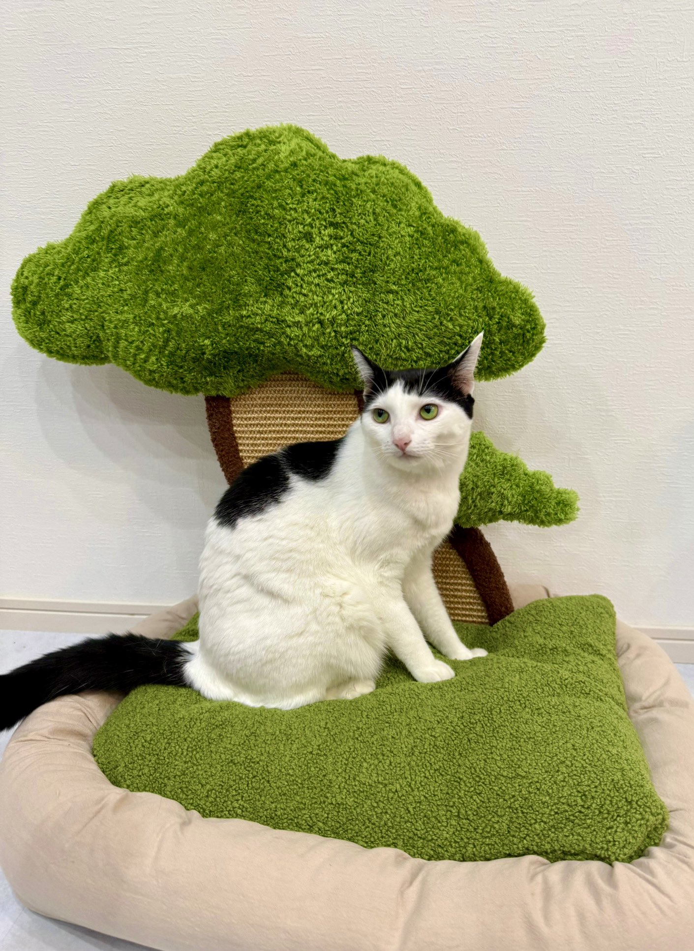 シーグラス (@11sea_glass02) / X