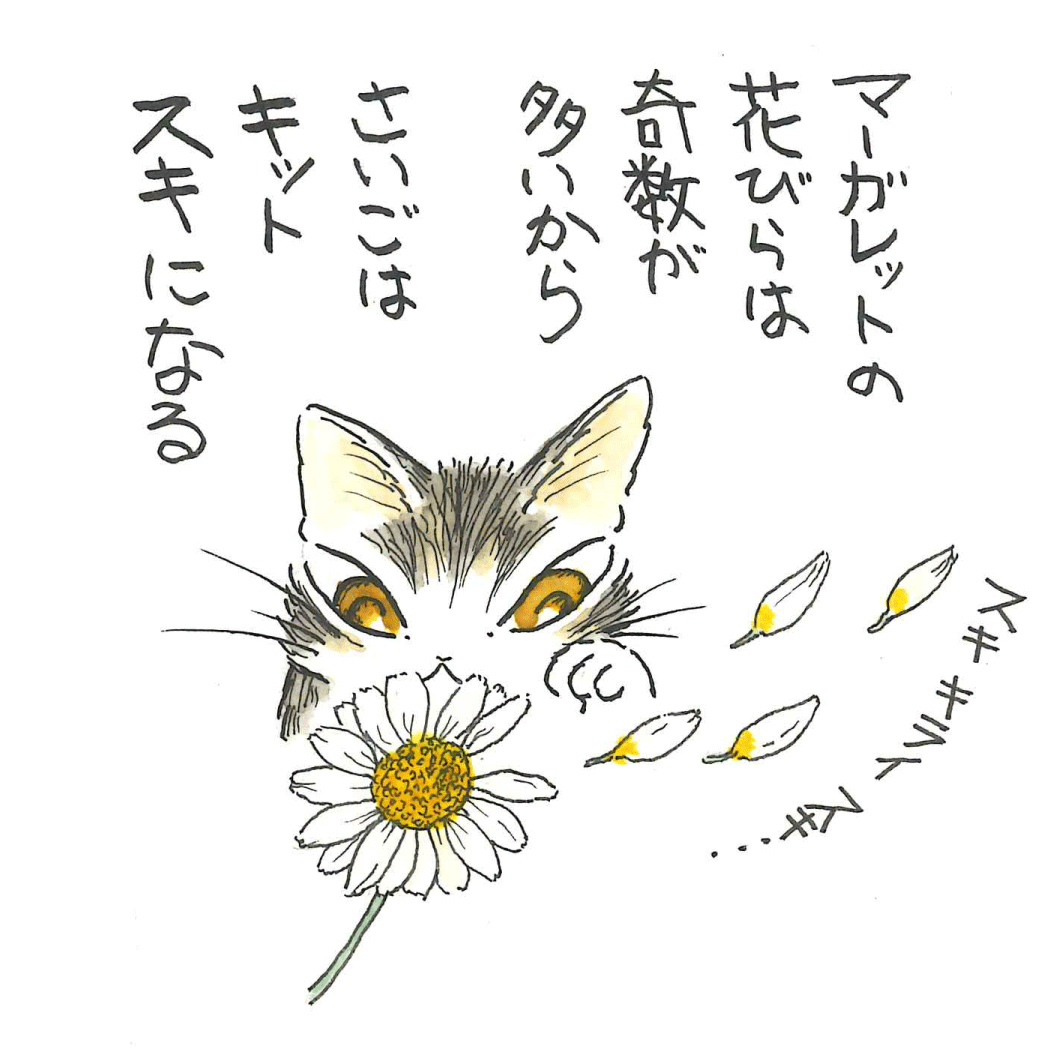 わちふぃーるどのスマホ巾着　月と月見草 わちふぃーるどのスマホ巾着 月と月見草 l. ダヤン スマホ巾着