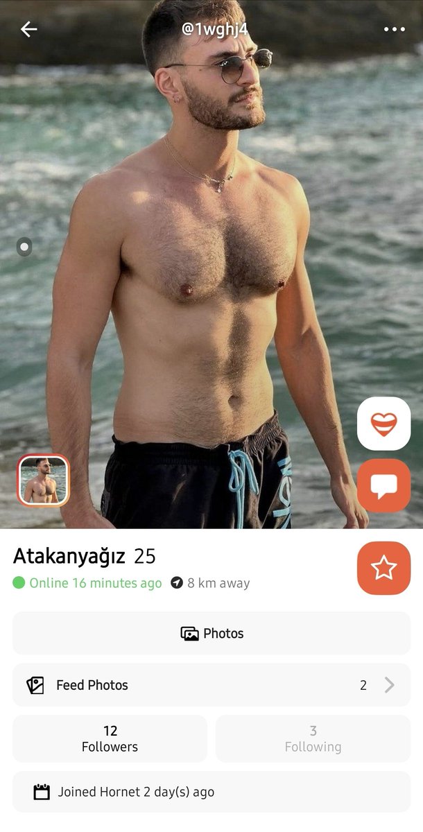 Gün geçmiyor ki başka bir fake hornette dolaşmasın.