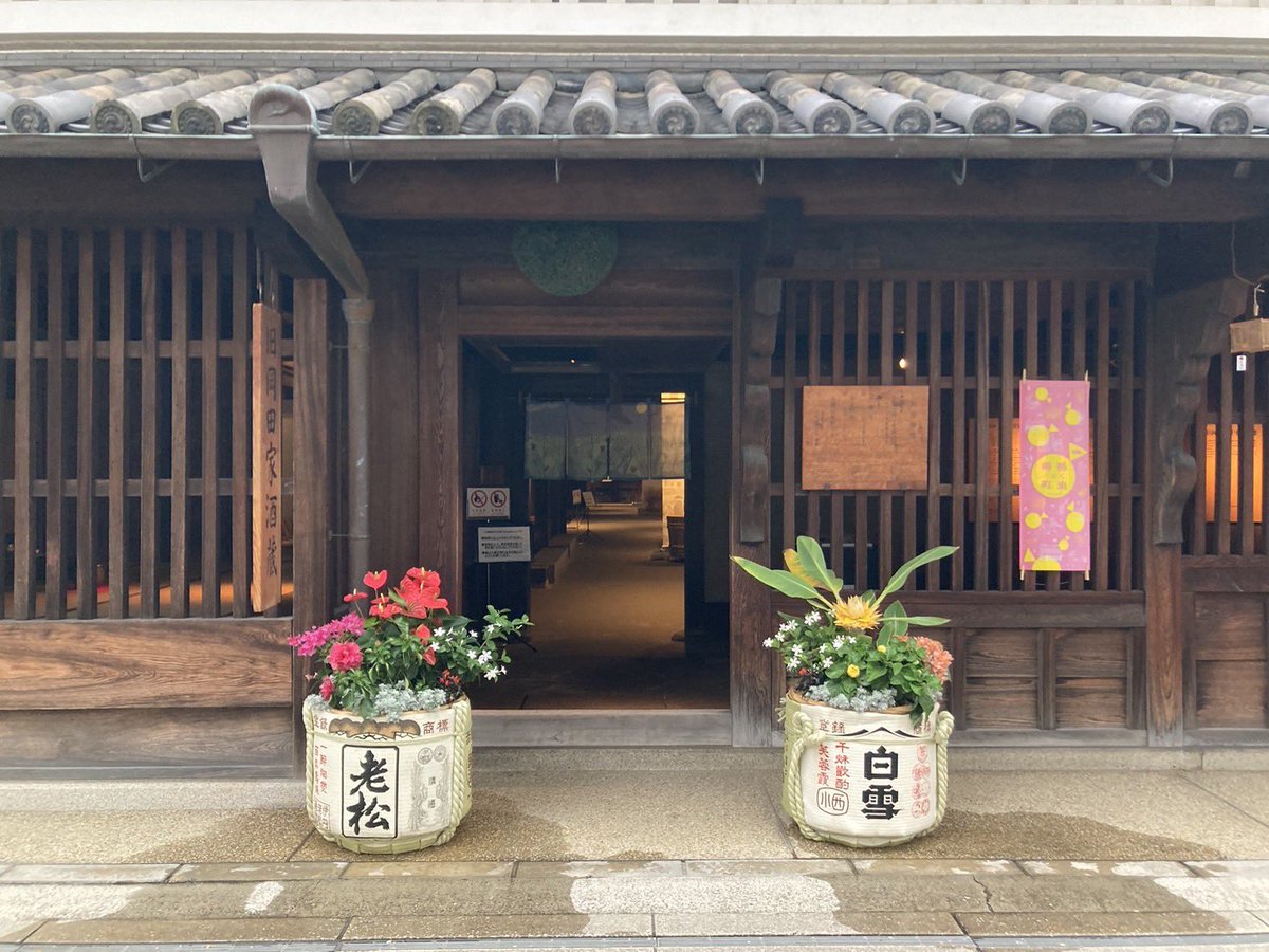 itakon25's tweet photo. 本日市立伊丹ミュージアムに設営に行ってまいりました！ぜひ鳴く虫たちを見にお立ち寄りください♪ https://t.co/4J3ciKennC