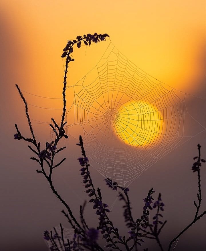 AglloMuniz's tweet photo. 🌞 Between shadows and light, life requires care.
If you need help, ask for it.

#YellowSeptember 💛 https://t.co/PkJ3jHVLRe