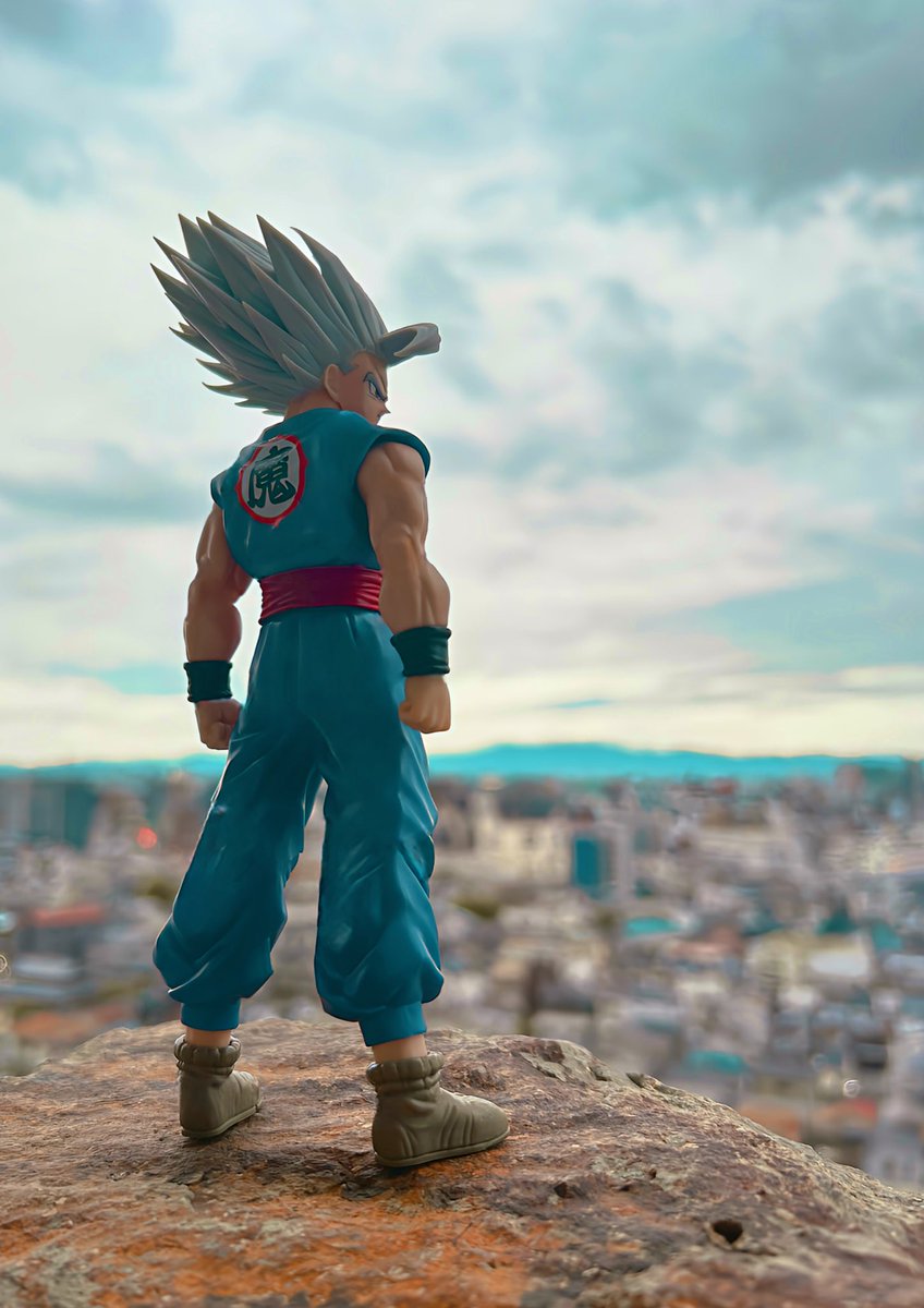 メ*ニ様 ⭐️里親募集中⭐️ 孫悟飯 ドラゴンボール 作画記録付き