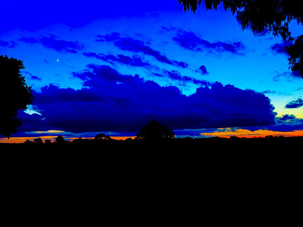 Good night.