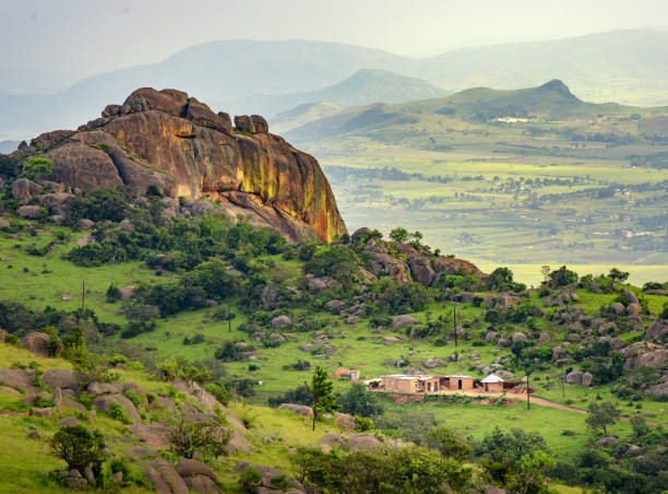 tmunyokoveri's tweet photo. Excited to be supporting @FAOEswatini for the next 2 months! 🌍🇸🇿 Looking forward to contributing and learning from the Kingdom of Eswatini. Stay tuned for updates and insights! #FAO #Eswatini #FoodSecurity #AgDevelopment https://t.co/NDBe2wjB8D