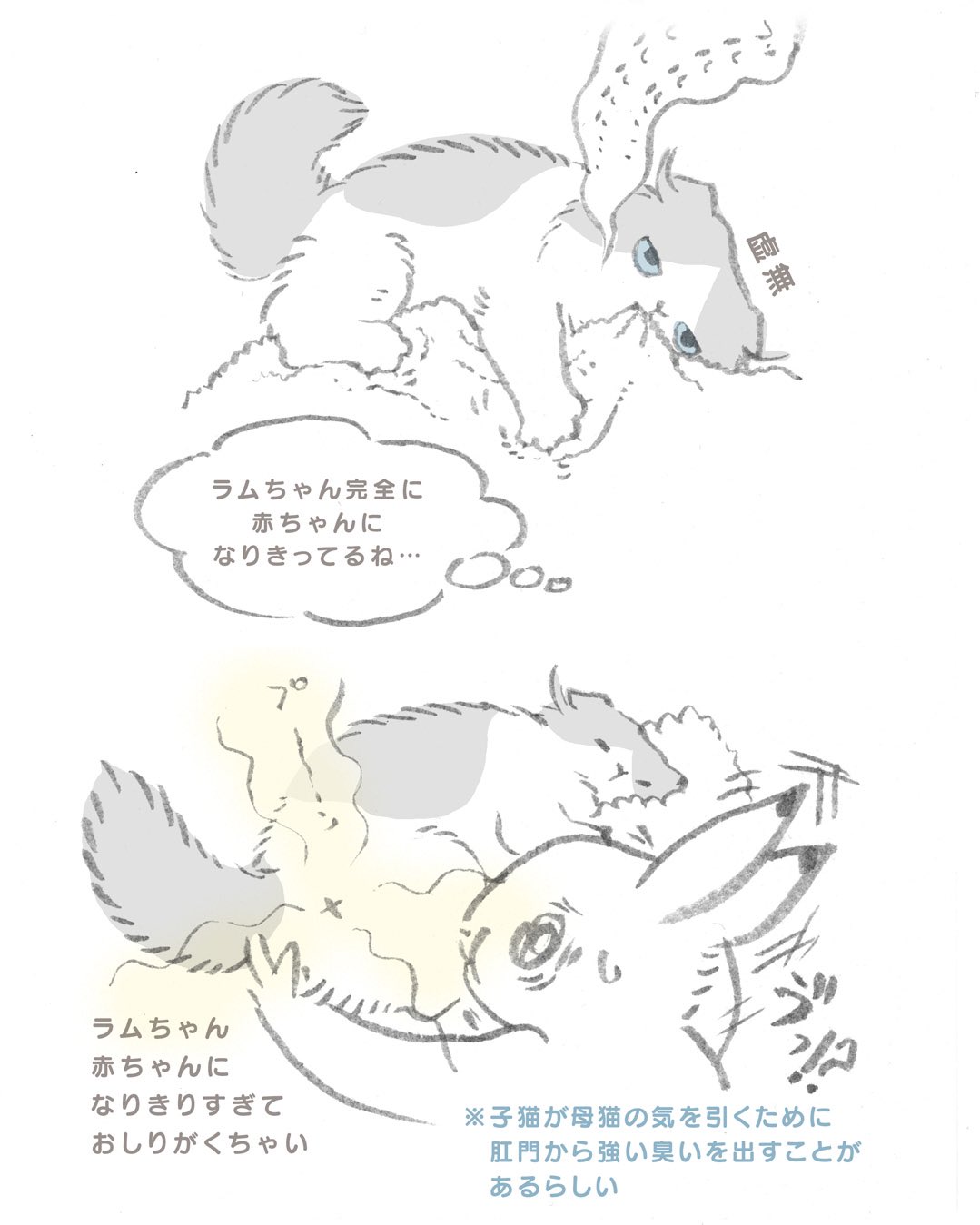 こなつ さま 専用ページ こなつ (@konatsu_tunacan) / X