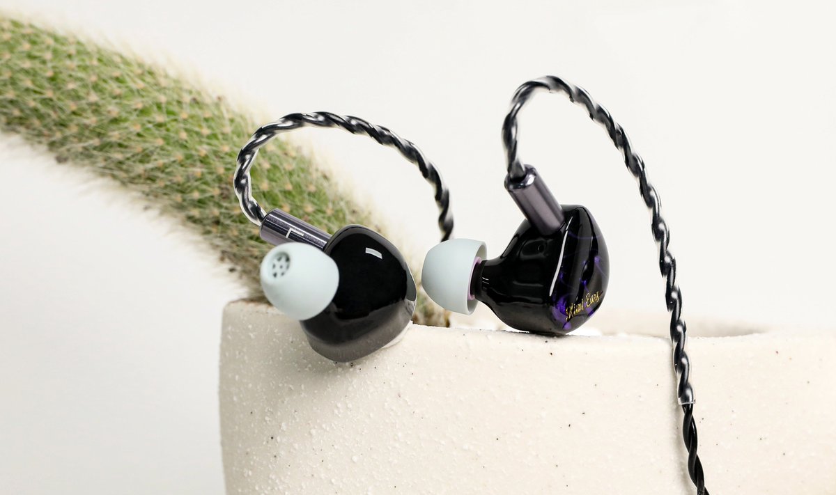 Kiwiears2020's tweet image. Small change. Big difference.🌵#Flex #Cadenza

#eartips #KiwiEars #hifi #audio #iems #audiophile #music