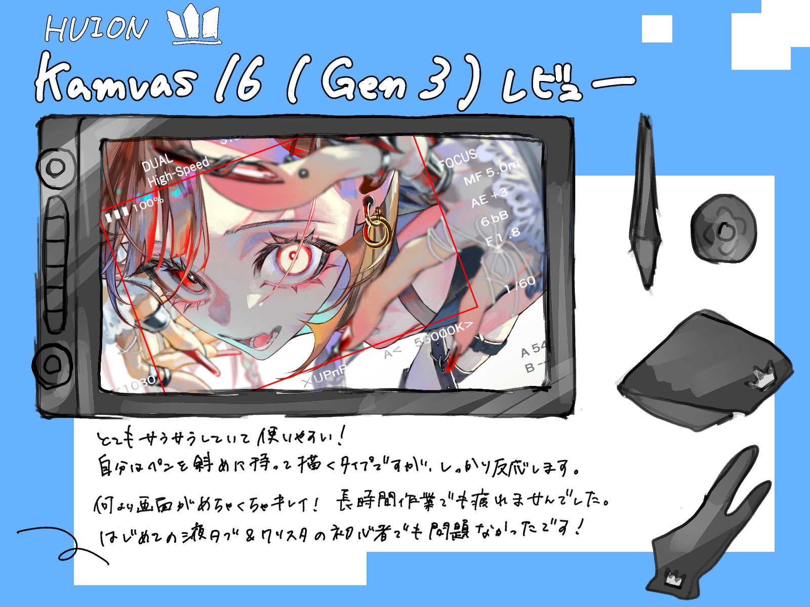 もみじ❤️枫葉❤️成長した姿 かえで《もみじの木》 (@k_momiji1537) / X