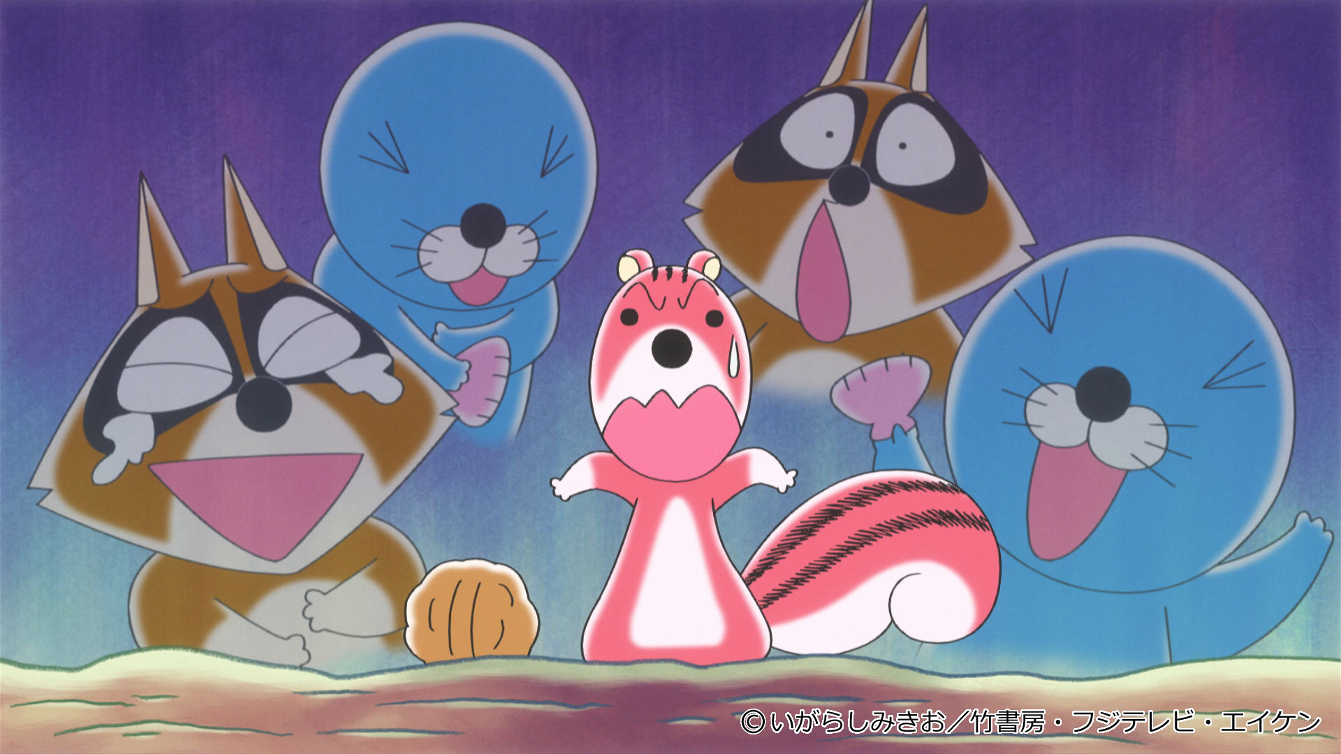 もにまるず ほのぼの アライグマくん セット monimoni Animals もにまるず ほのぼの アライグマくん セット monimoni Animals