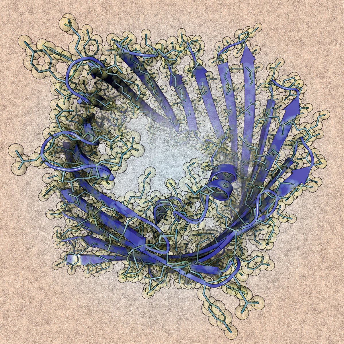 Here you can see a crystal structure of the mouse VDAC1 channel (PDB code: 9GNG)

Rendering by Francisco J. Enguita (<a href="/fenguita/">Francisco J. Enguita</a>) made with #ProteinImager

3dproteinimaging.com/protein-imager…

#SciArt #molecularart #channel #vdac1 #mouse #membrane #xray