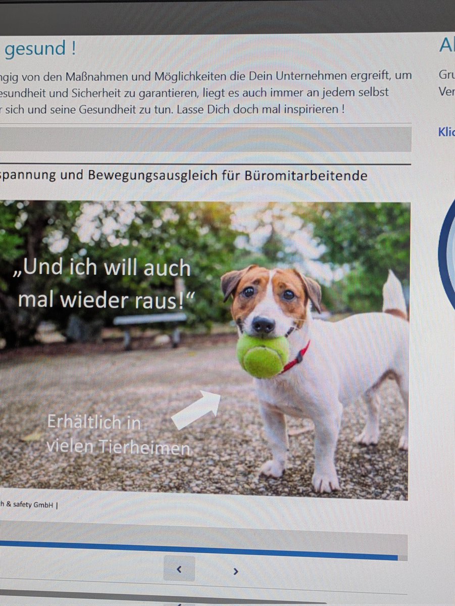 wie ich meinen Toplaner anschau wenn ich S15 immernoch nach einem Leash frage 🥺