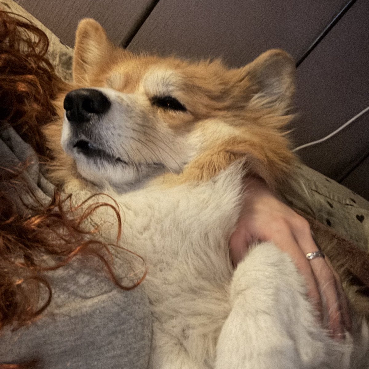 Доброе утро, мои хорошие 
Вот вам сонный корж, хорошего дня и настроения вам ❤️