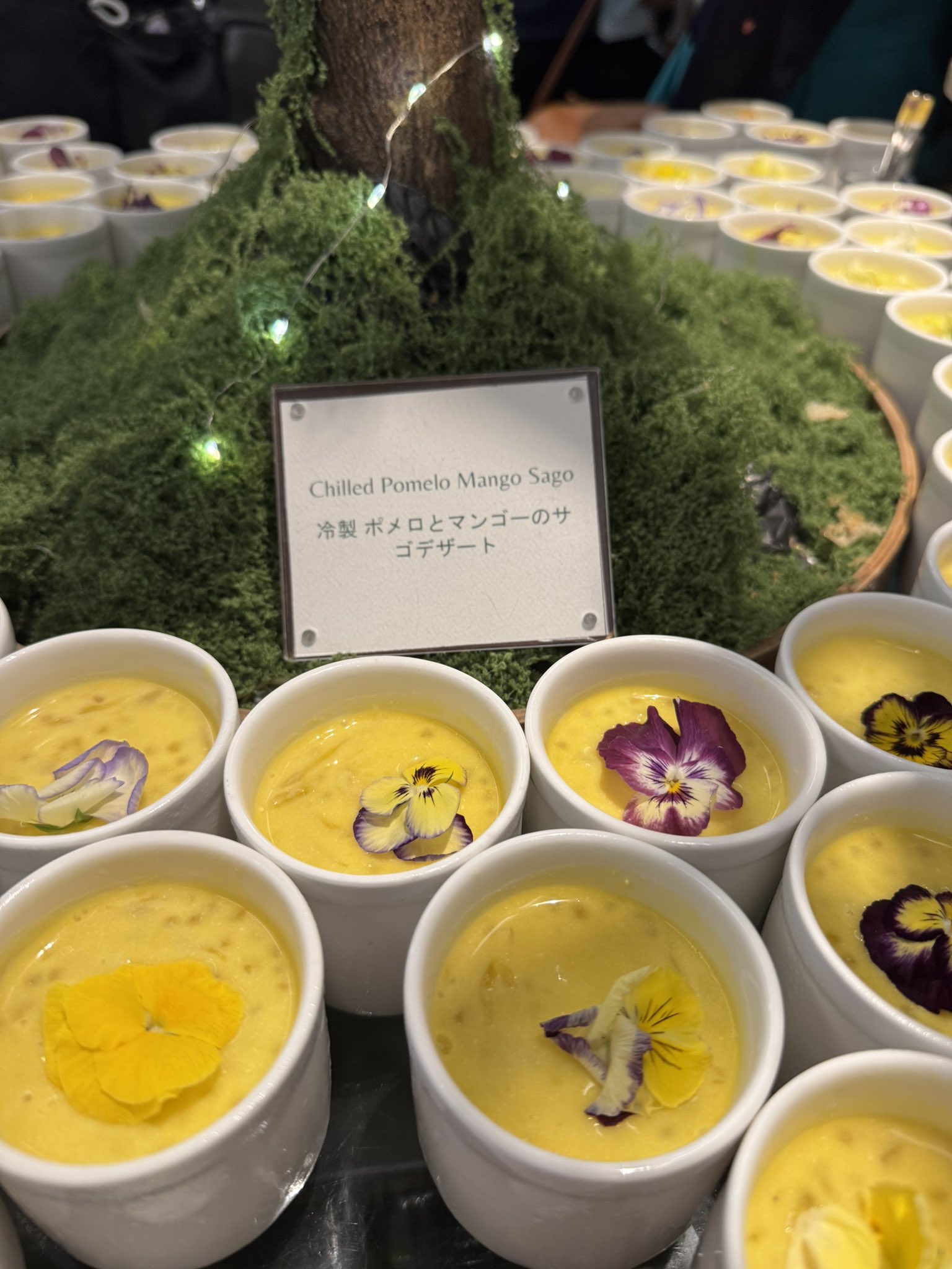 🌵🦀ひよこちゃん🦀🌵 on X: 