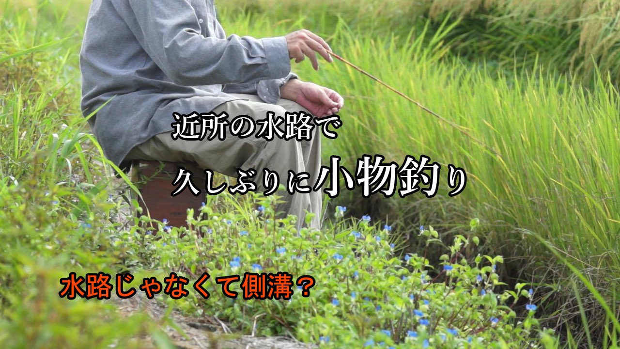 たかぽん (@lxRE3qRghfRkl7C) / X