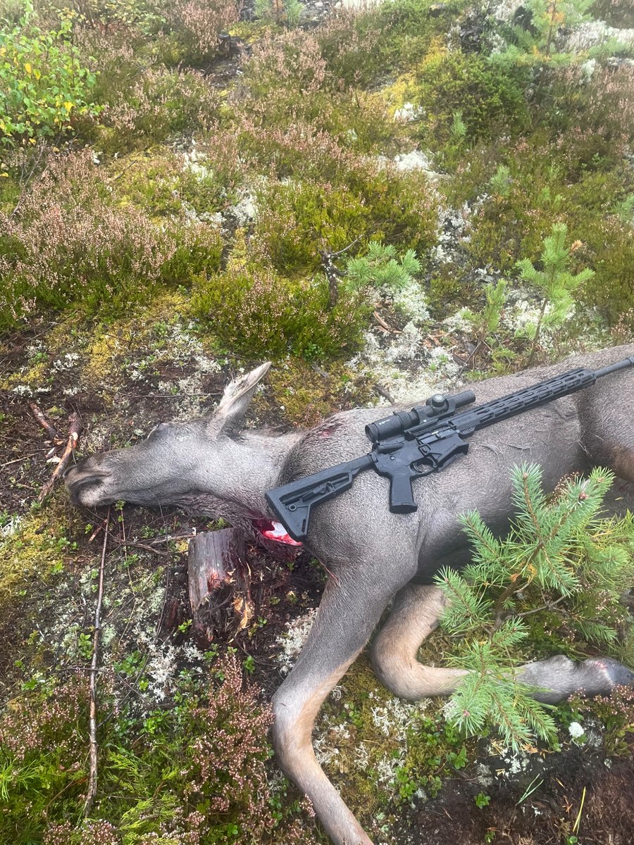 Den visade sig duga till älgjakt fast den är svart och ser farlig ut enligt Tidögänget.