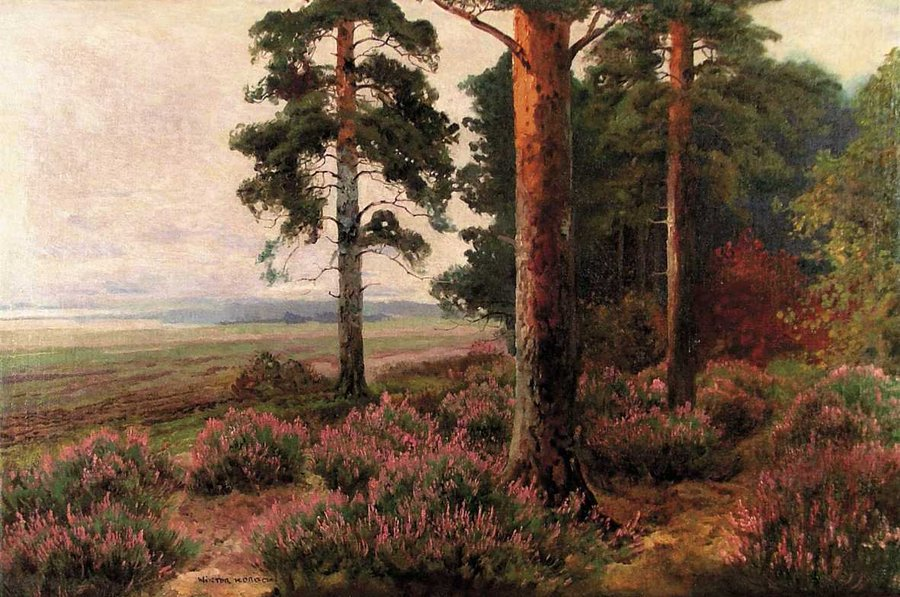 Wiktor Korecki (1890-1980), Leśne wrzosy
olej na płótnie
własność prywatna