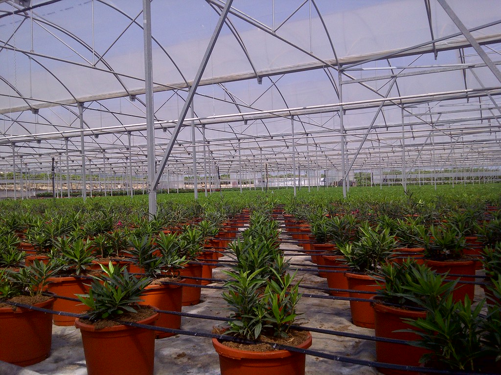 La otra cara de la verdad de los jornaleros migrantes 
tps.soy/gYh2y